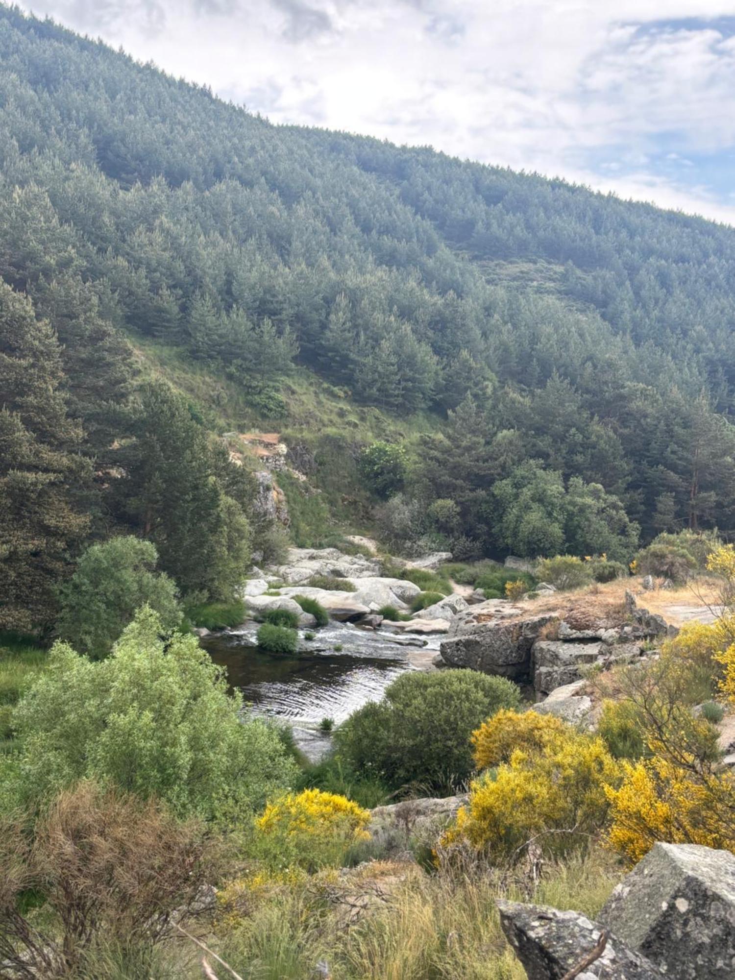 Villa De Gredos Navarredonda de Gredos Εξωτερικό φωτογραφία